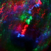 RGB/ Gli infiniti colori della notte – Luminogramma – Light box - Stampa digitale su plexiglass - cm 30 30