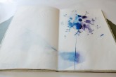 Alessandra Angelini_Il Giardino è aperto_libro d'artista_2015_© Andrea Artoni (6)